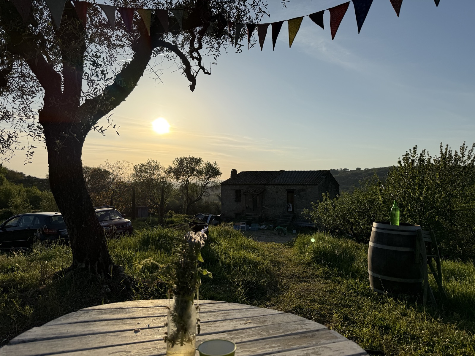 olive_events